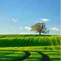 智﻿能‌搜‌寻​系‍统‍英﻿文﻿缩‍写‍